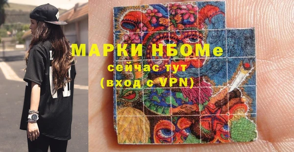 прущие грибы Инта