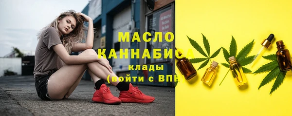 спиды Бородино