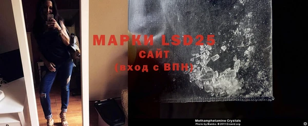 молекула духа Богданович