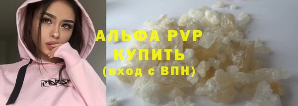 спиды Бородино