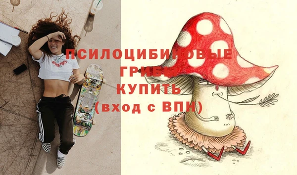 спиды Бородино
