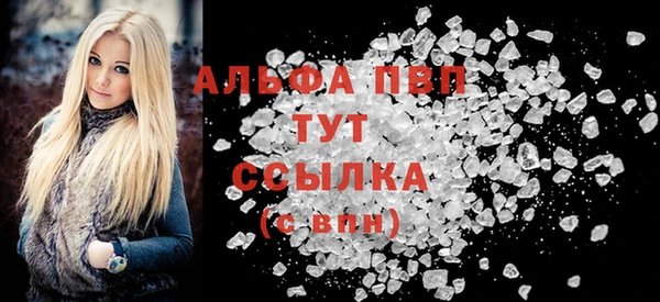 спиды Бородино