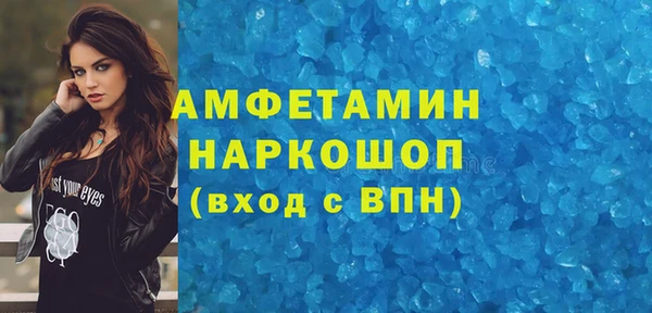 спиды Бородино