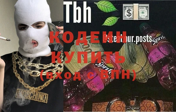 спиды Бородино