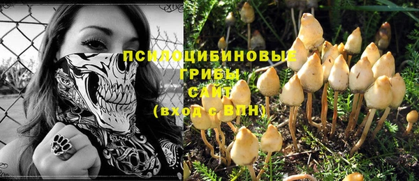 ALPHA PVP Бугульма