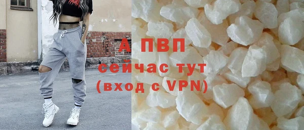 спиды Бородино
